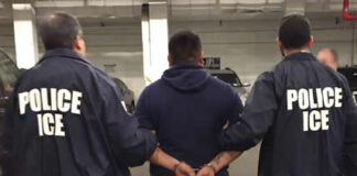 ICE operation in Florida results in over 230 removals of immigrants ICE arrests