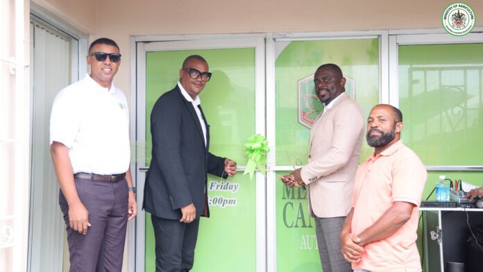 Saint Kitts and Nevis officially launched the Medicinal Cannabis Authority
