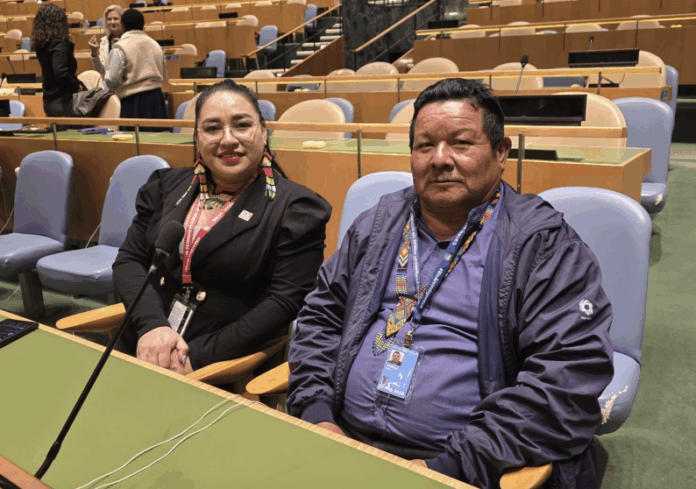 Guyana slammed at UN Forum for violating Indigenous rights