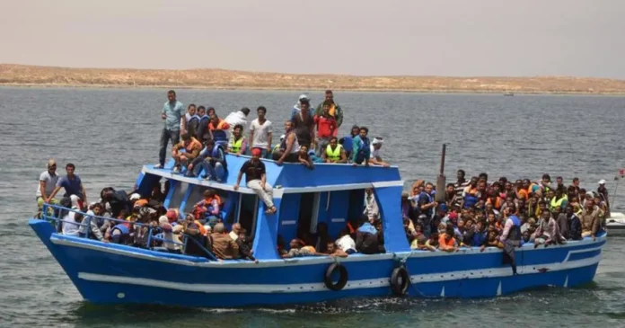 migrant trafficking
