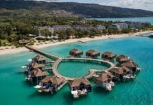 Why Caribbean Americans are choosing Sandals Resorts for the trips that matter most Sandals Resorts