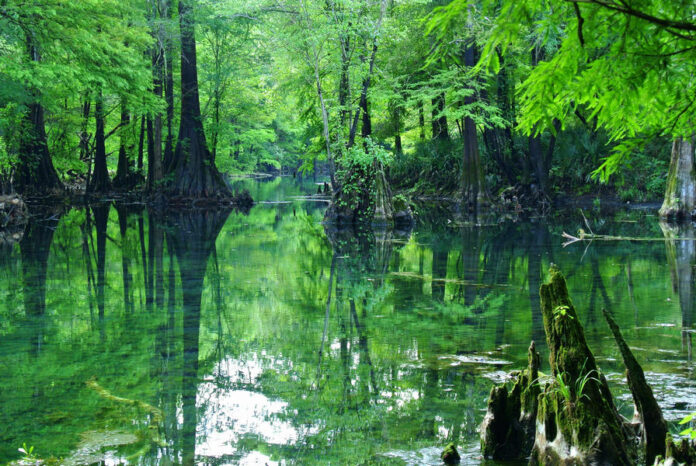 Florida utilities has implemented Basin Management Action Plans