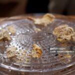 Jamaican Company Completes Landmark Psilocybin Export