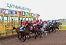 Betting Promotions: How It’s Changing the Horse Racing Fan Experience Caymanas Park