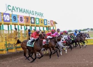Betting Promotions: How It’s Changing the Horse Racing Fan Experience Caymanas Park