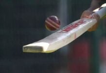 Spin surge powers T&T past Guyana in T20 Blaze showdown West Indies