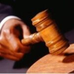 Family sent to cool off in court matter over scattered leaves