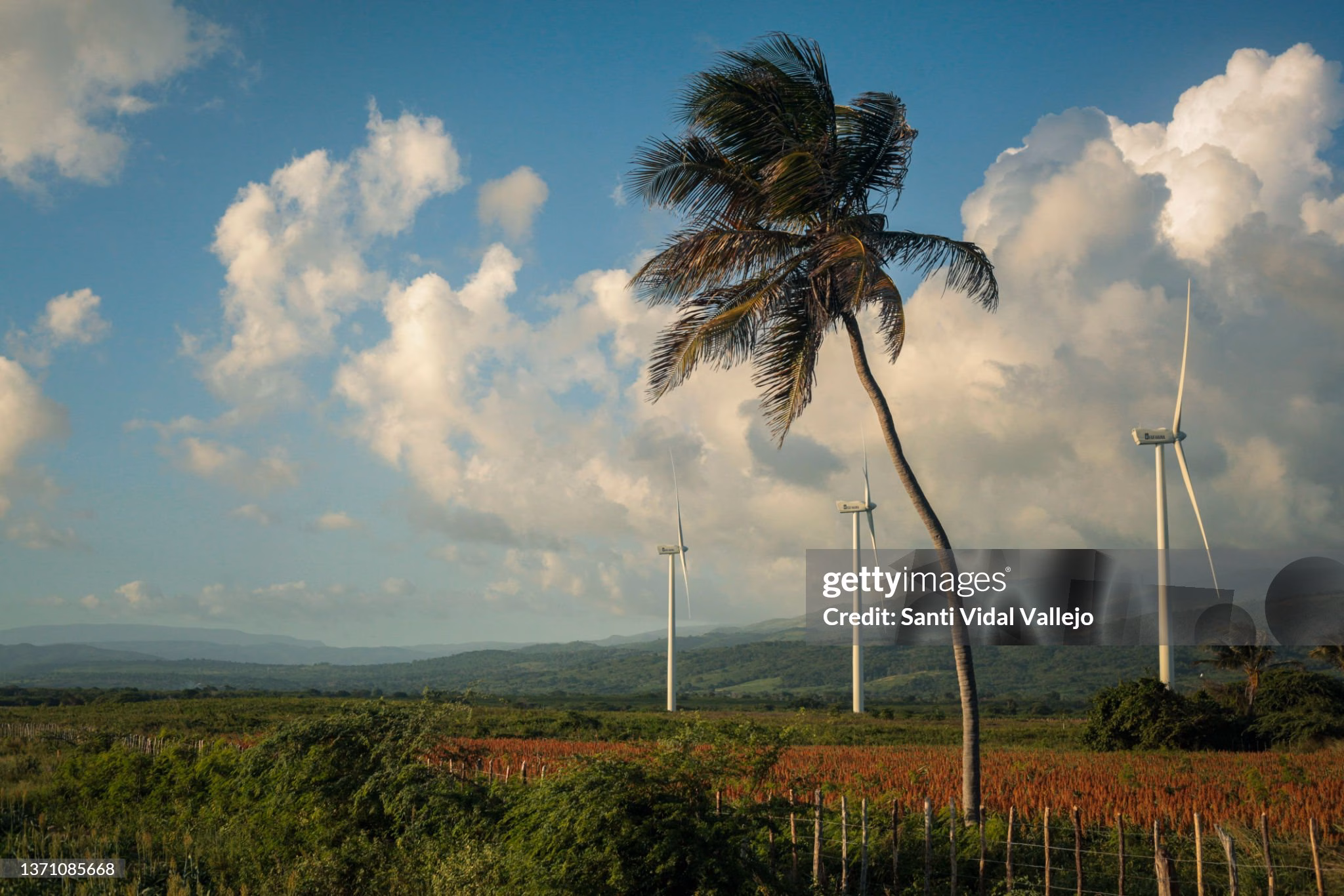 Could CARICOM’s Green Finance Framework Unlock Billions In Climate Investment?