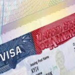 US abruptly stops visas for foreign truck drivers