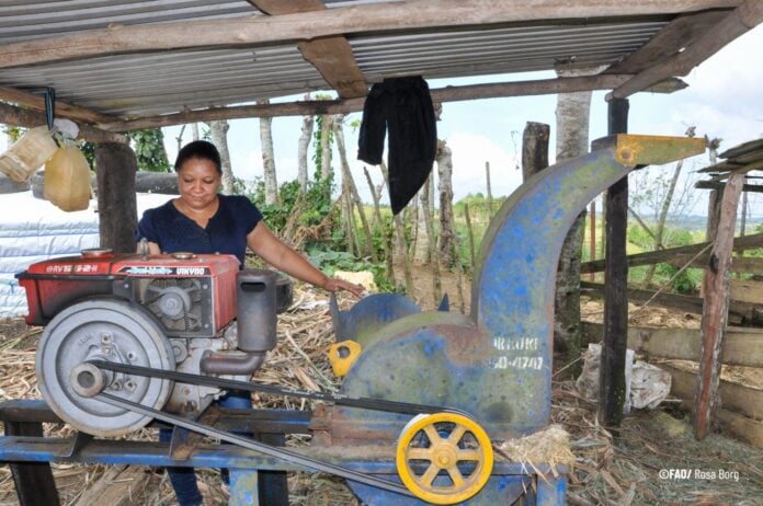 FAO launches digital platform to empower rural women