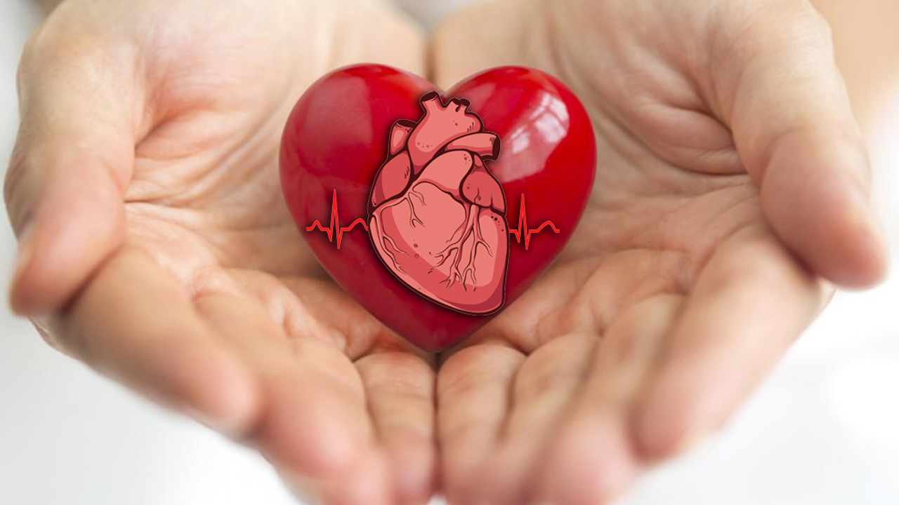 Healthy habits for your heart: Celebrate American Heart Month