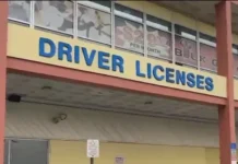 Haitians with TPS in Florida can renew driver licences through March 15 Miami-Dade driver’s licenses
