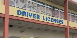 Haitians with TPS in Florida can renew driver licences through March 15 Miami-Dade driver’s licenses