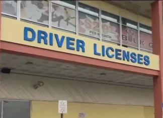 Florida to add citizenship status to driver’s licenses under new election security law Miami-Dade driver’s licenses