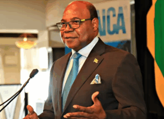 Jamaica unveils new airline routes, $5 billion tourism investment push amid strong visitor growth Edmund-Bartlett-Jamaica-Tourism-Restart-Recovery-Task-Force