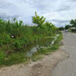 #EyeOnMelissa: Savanna-la-Mar residents change tune as hurricane threat looms