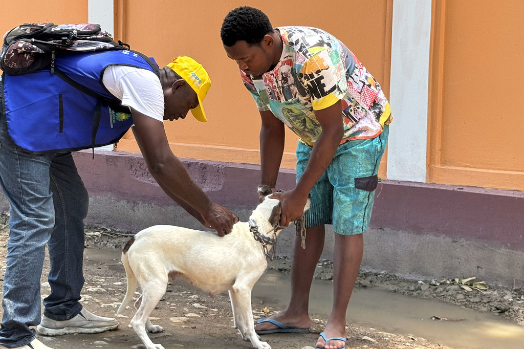 Haiti launches dog vaccination drive following rabies deaths