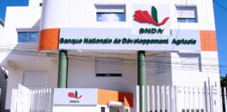CDB Supports Haiti’s Agricultural Bank with Strategic Plan to Boost Rural Finance and Food Security