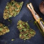 Marijuana Buds & THC Oil Filled Cartridge