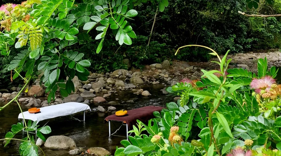 Martinique showcases growing appeal as a wellness and spa destination