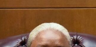 Trinidadian-American Justice Lisa Ottley elevated to New York State Appellate Division Judge Lisa Ottley. Eagle file photo by Caroline Ourso.