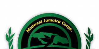 Chicago event to raise funds for Jamaica following Hurricane Melissa