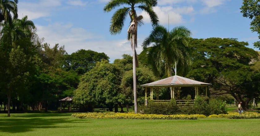 Where did all the green go? Kingston’s vanishing public spaces