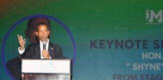 Shyne Barrow urges Caribbean leaders to model Jamaica in building creative economies