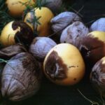 Lethal yellowing disease confirmed in Dominica lethal yellowing disease