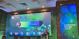 CARICOM SG urges collaboration to harness Caribbean’s energy potential