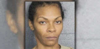 Hundreds targeted in alleged $120,000 food stamp fraud scheme in Broward County