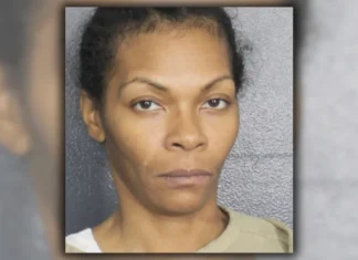 Hundreds targeted in alleged $120,000 food stamp fraud scheme in Broward County