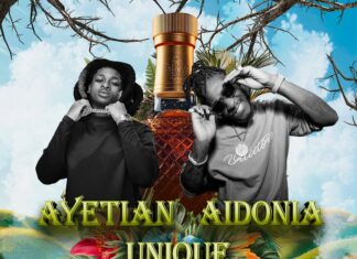 Aidonia, Ayetian lead star-studded Rum Island Festival debut in Atlanta Rum Island Festival