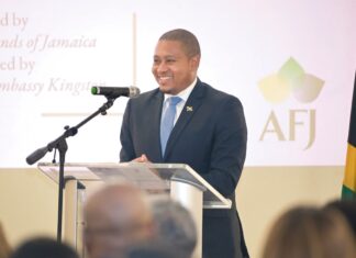 American Friends of Jamaica awards J$208 million in grants to 65 organizations