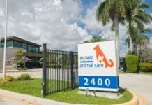 Broward Animal Care launches ‘Volunteers Save Lives. Period’ campaign Broward County Animal Care