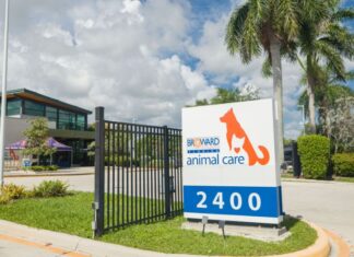 Broward Animal Care launches ‘Volunteers Save Lives. Period’ campaign Broward County Animal Care