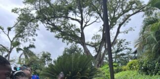 Sandals Foundation brings environmental learning to Caribbean students for Earth Day