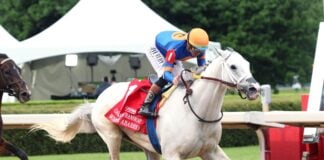 White Abarrio tops elite field in Oaklawn triumph White Abarrio