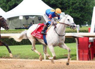 White Abarrio tops elite field in Oaklawn triumph White Abarrio