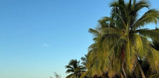 Caribbean Americans keep getting targeted by offshore betting sites that look local