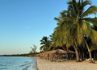 Caribbean Americans keep getting targeted by offshore betting sites that look local
