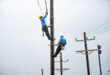 LUCELEC says rodent interference triggered islandwide blackout in Saint Lucia