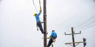 LUCELEC says rodent interference triggered islandwide blackout in Saint Lucia