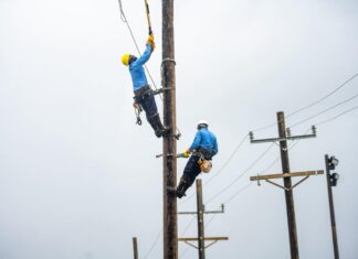 LUCELEC says rodent interference triggered islandwide blackout in Saint Lucia