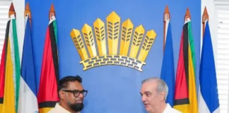 Guyana, Dominican Republic advance talks on oil, gas and energy cooperation
