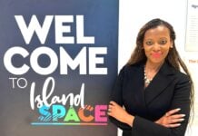 Island SPACE Caribbean Museum elects first Haitian-American President
