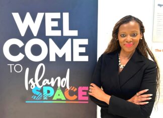 Island SPACE Caribbean Museum elects first Haitian-American President