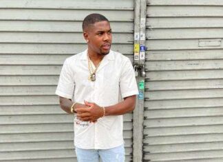 Jamaican entertainer Countree Hype pleads guilty to smuggling firearms from US to Jamaica