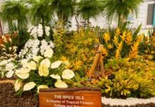 Grenada wins Gold at RHS Chelsea Flower Show for 19th time