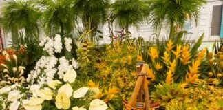 Grenada wins Gold at RHS Chelsea Flower Show for 19th time